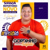 GORDINHO SAFADO - REVOADA DO GORDINHO - 8 MÚSICAS NOVAS